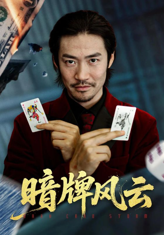暗牌风云封面