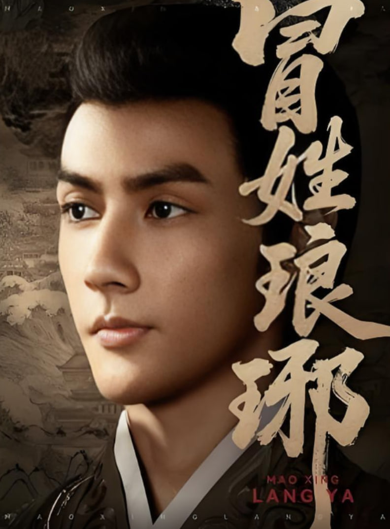 冒姓琅琊封面