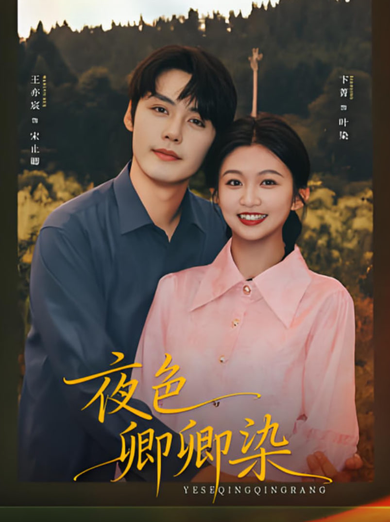 夜色卿卿染封面