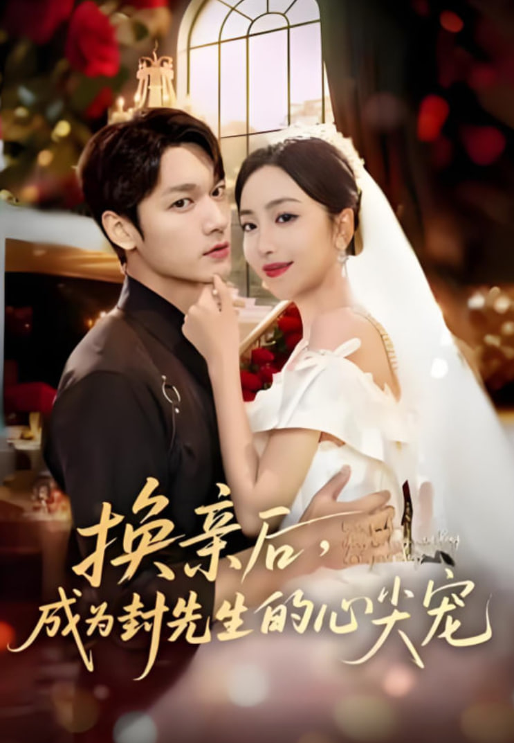 换亲后，成为封先生的心尖宠封面