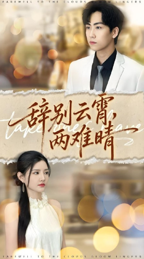 辞别云霄两难晴封面