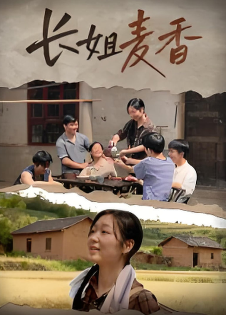 长姐麦香封面