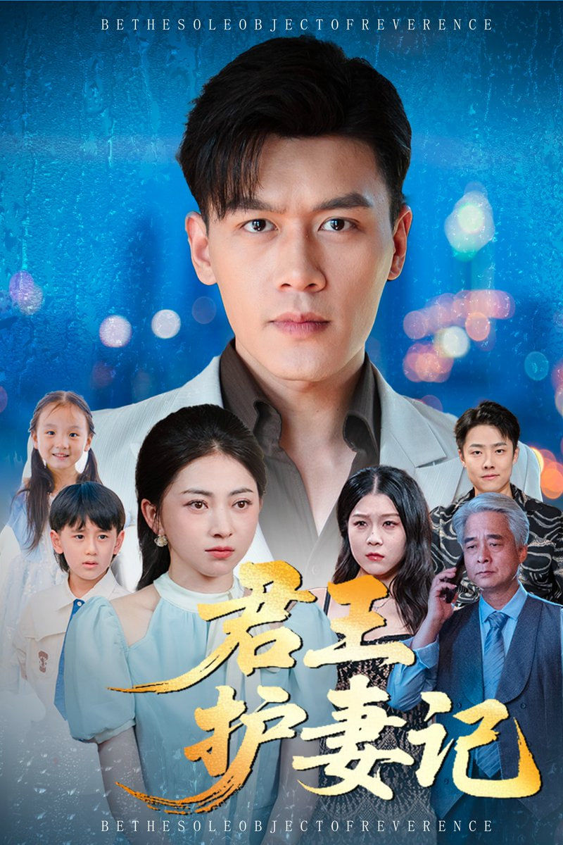 君王护妻记（独尊）封面