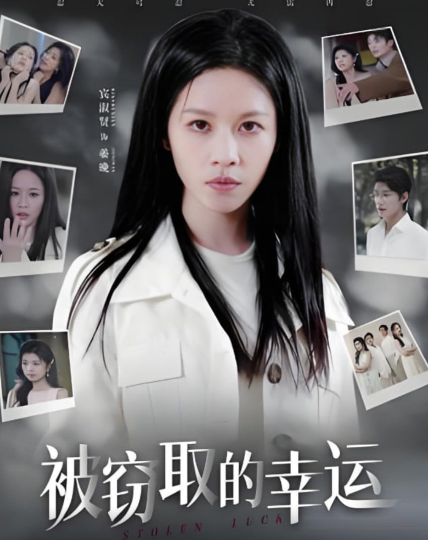 被窃取的幸运封面