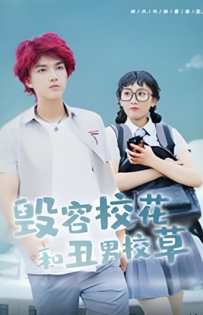 毁容校花和丑男校草封面
