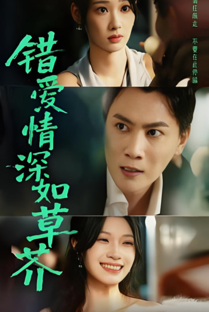 错爱情深如草芥封面