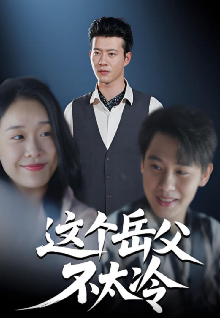 这个岳父不太冷封面