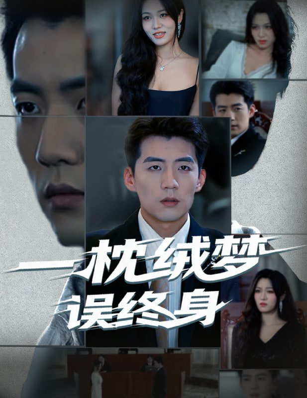 一枕绒梦误终身封面