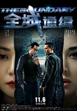 全城通缉封面