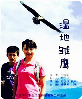 湿地雏鹰封面