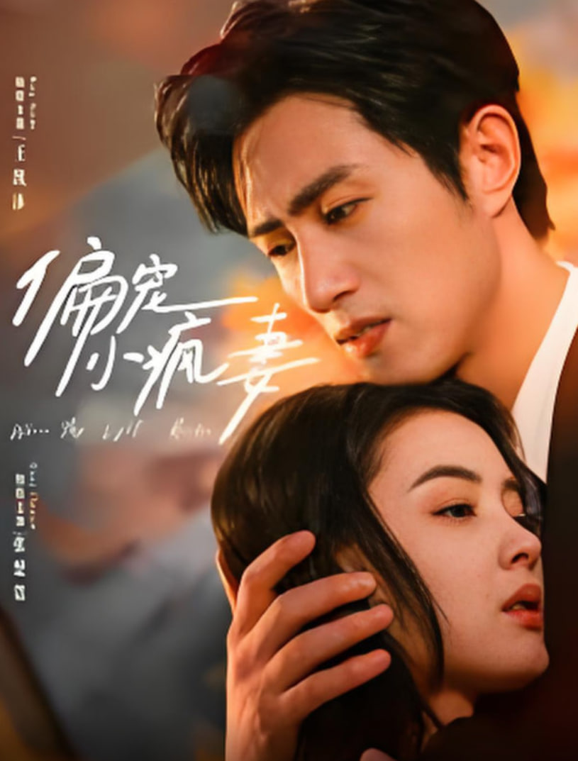 偏宠小疯妻封面