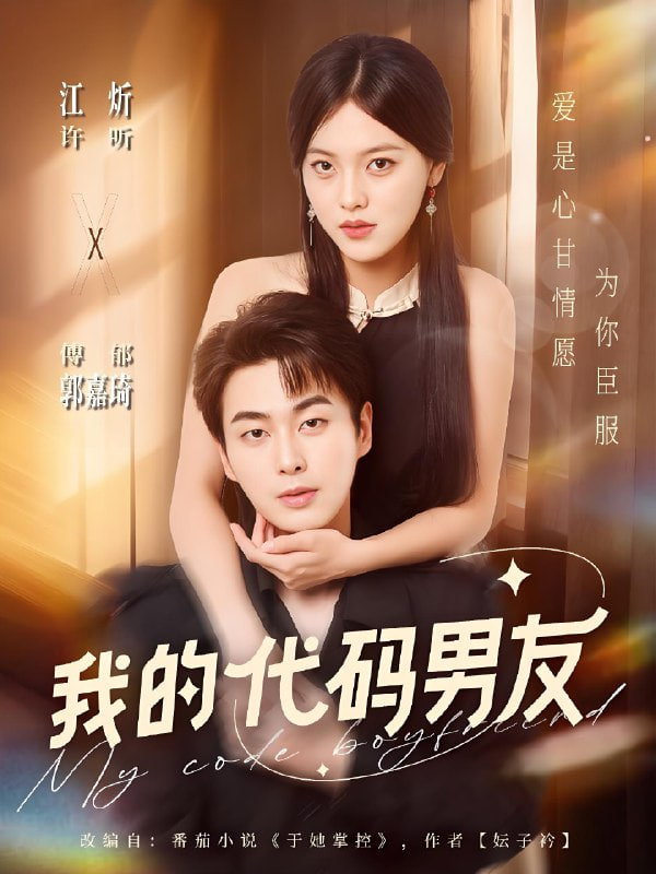 我的代码男友封面