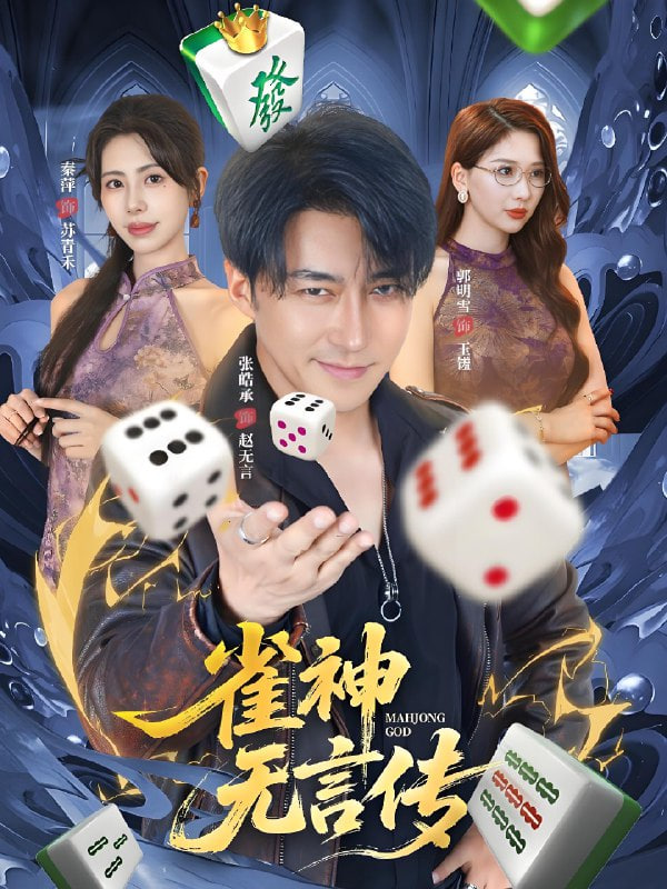雀神无言传封面