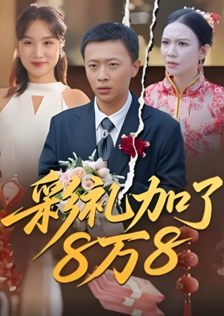 彩礼加了8万8封面