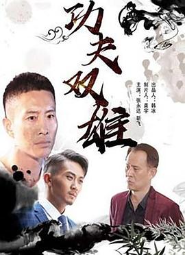 功夫双雄封面
