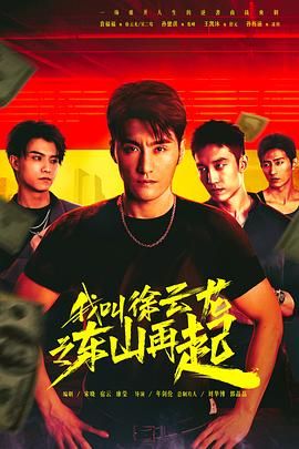 我叫徐云龙之东山再起封面