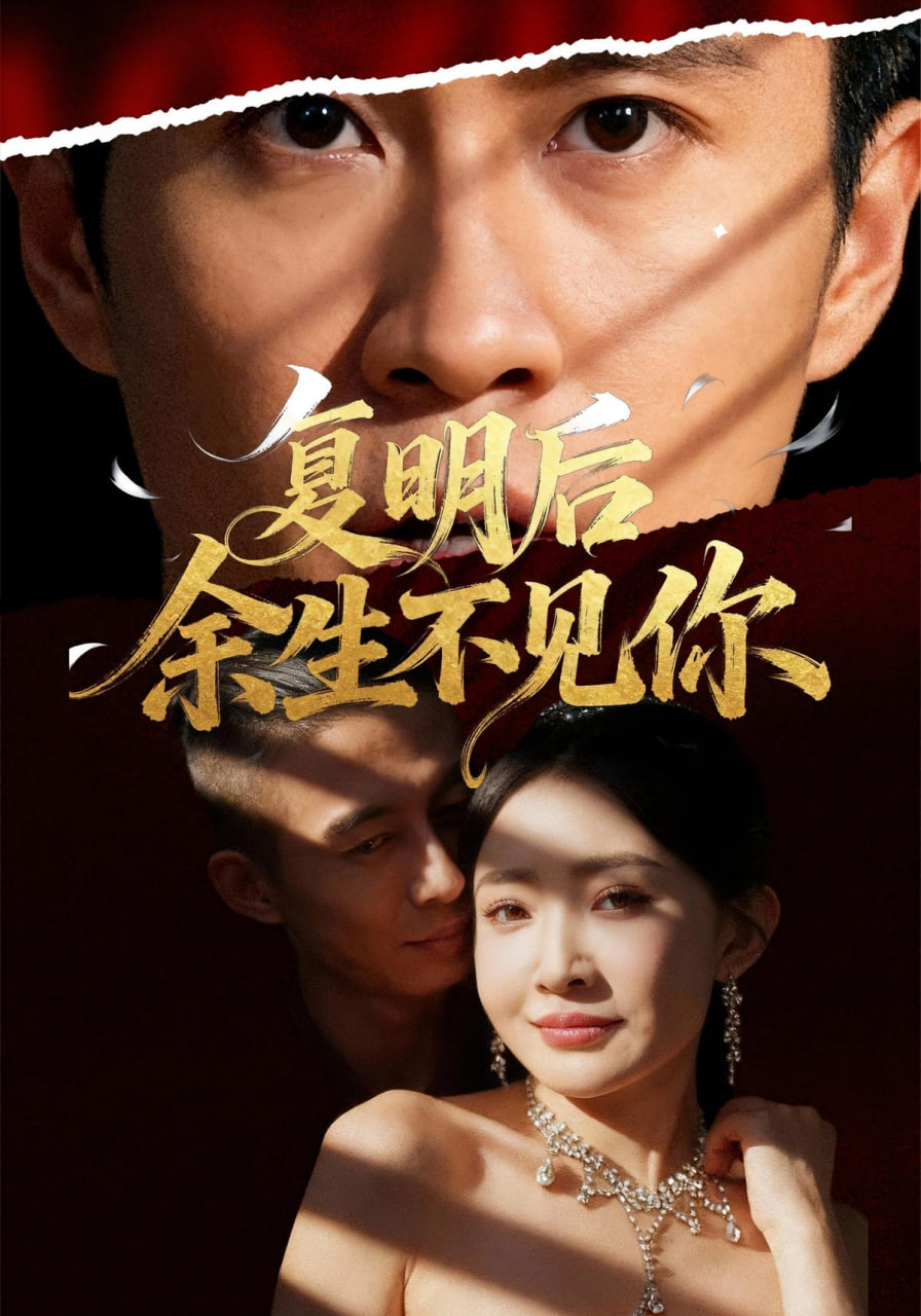 复明后余生不见你封面
