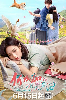 何加加的桃花源记封面