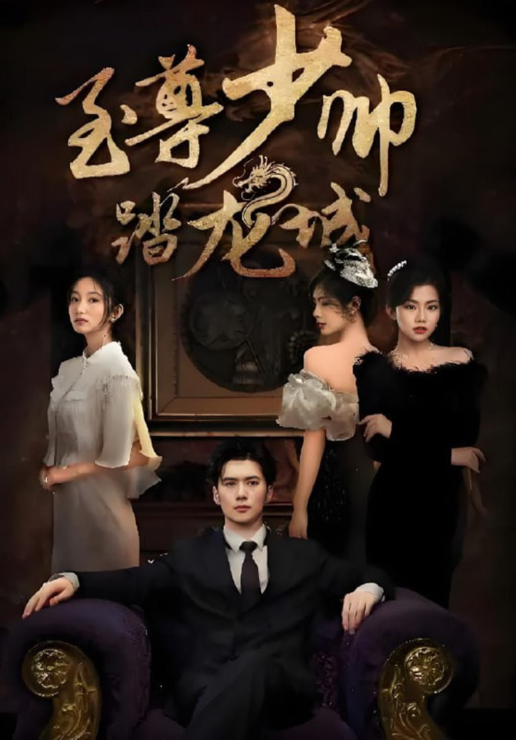 至尊少帅踏龙城封面