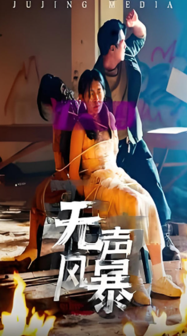 无声风暴封面