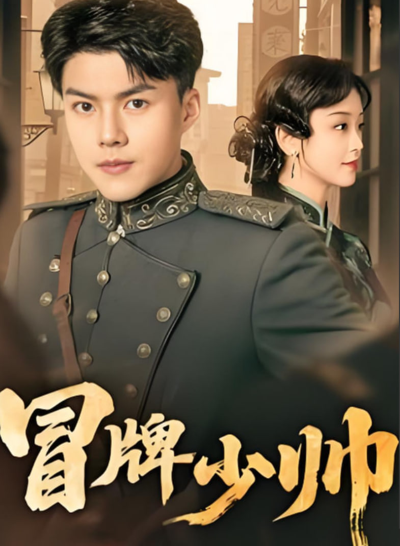 冒牌少帅封面