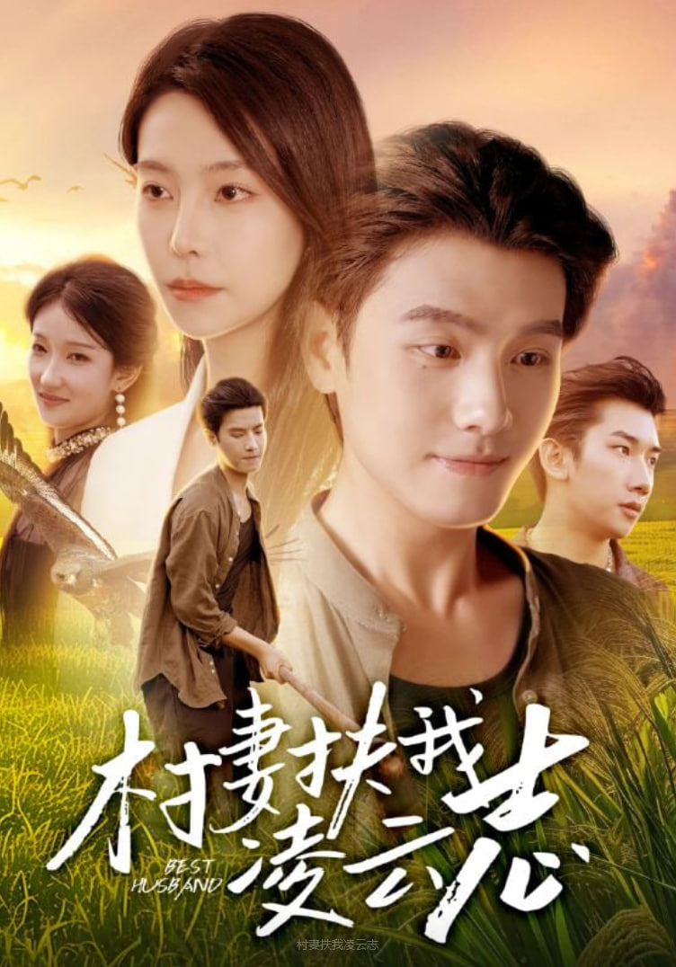 村妻扶我凌云志封面