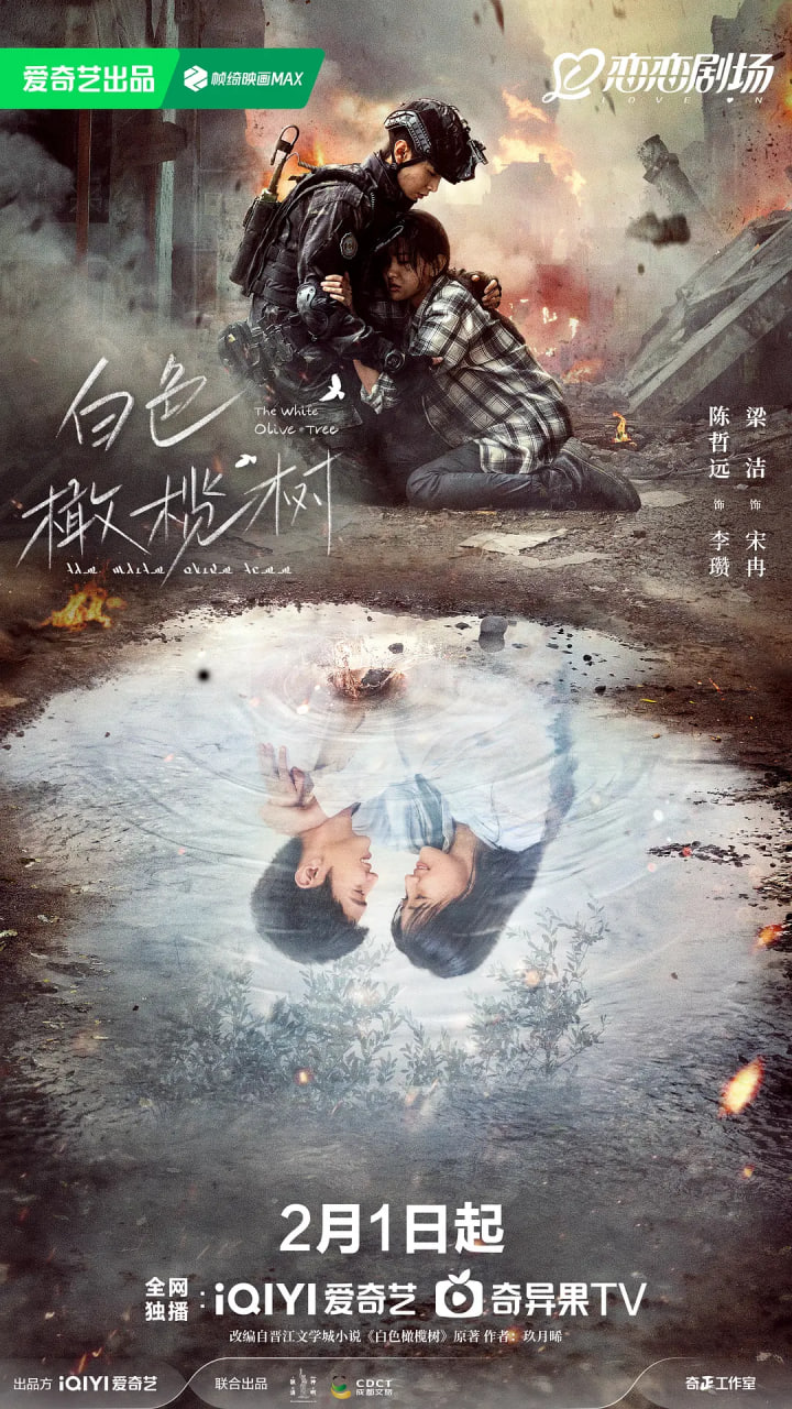 白色橄榄树封面