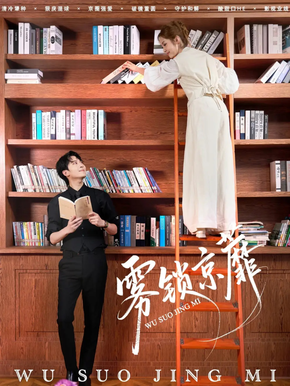 雾锁京蘼封面