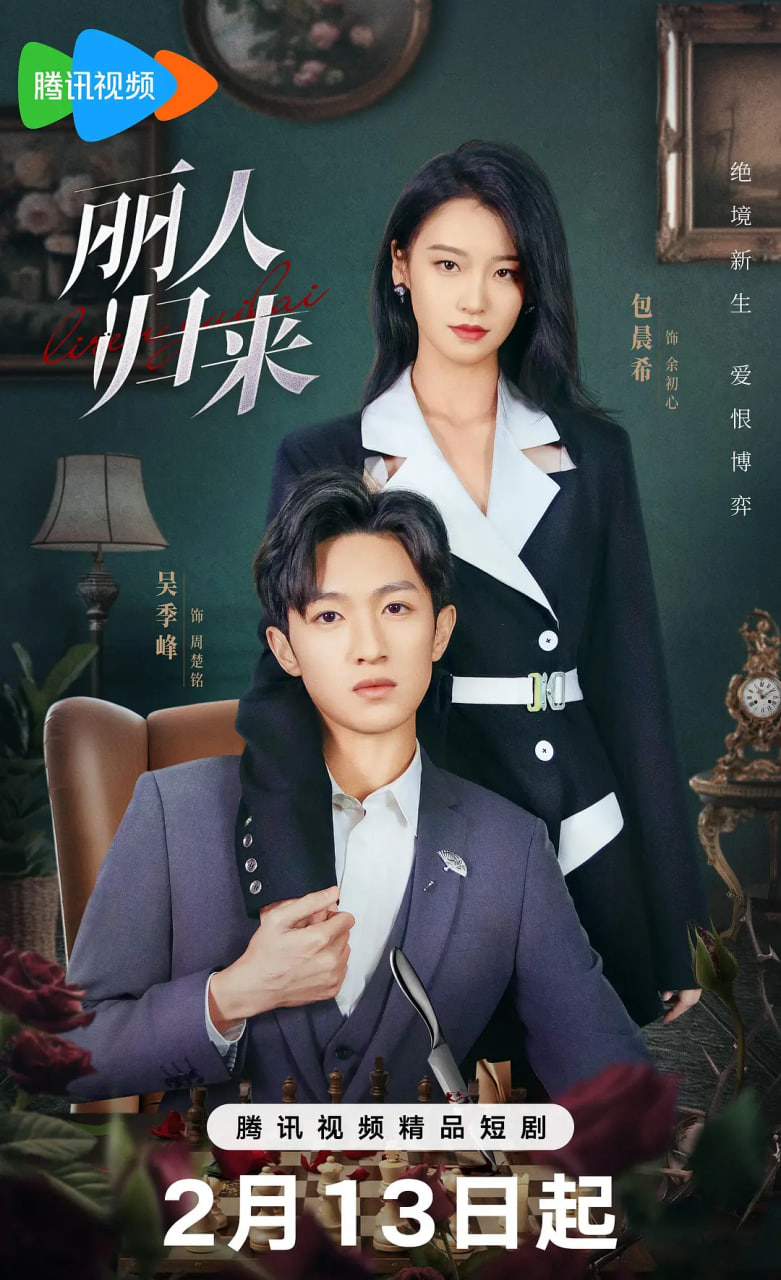丽人归来封面