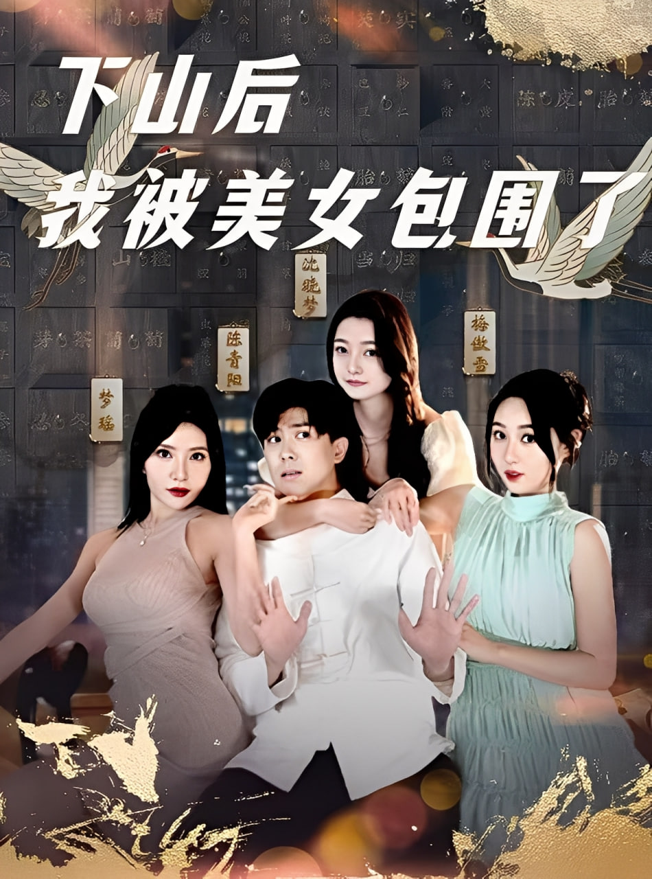 下山后我被美女包围了封面