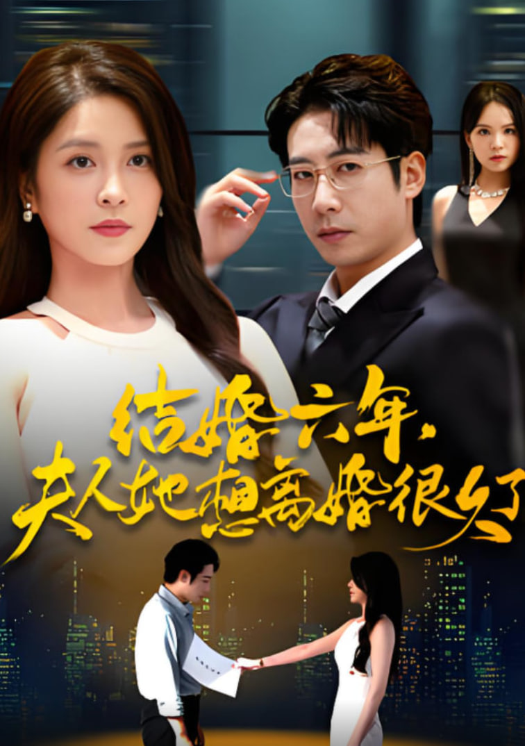结婚六年夫人她想离婚很久了封面