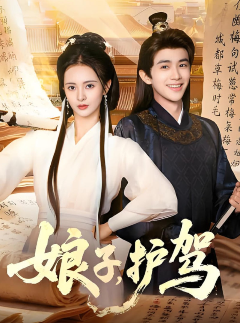 娘子护驾封面