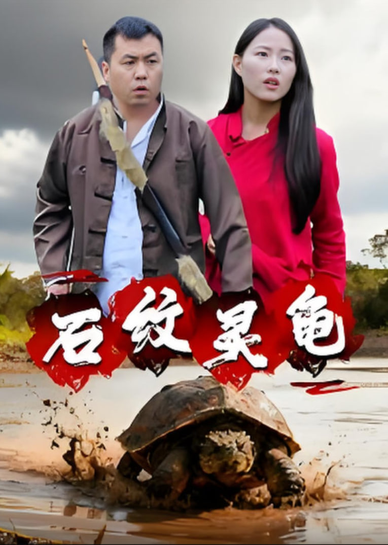 石纹灵龟封面