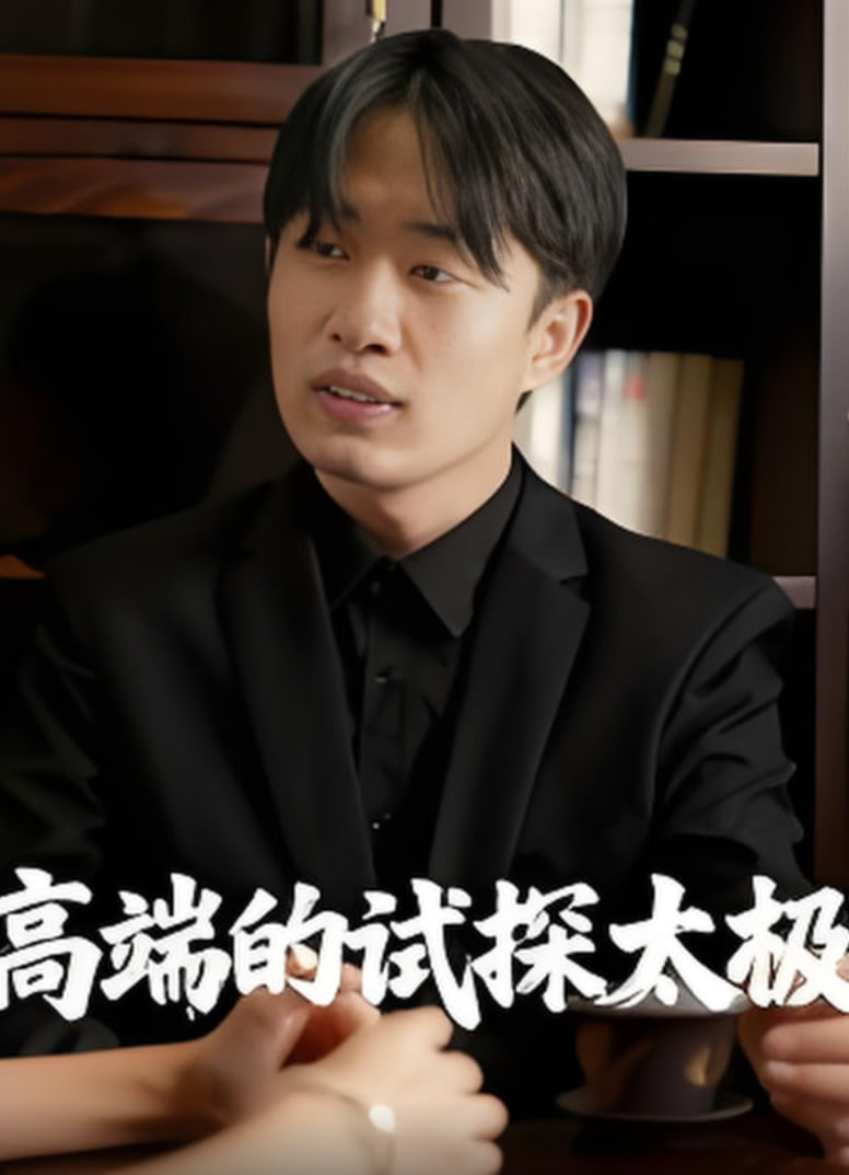 高端的试探太极封面