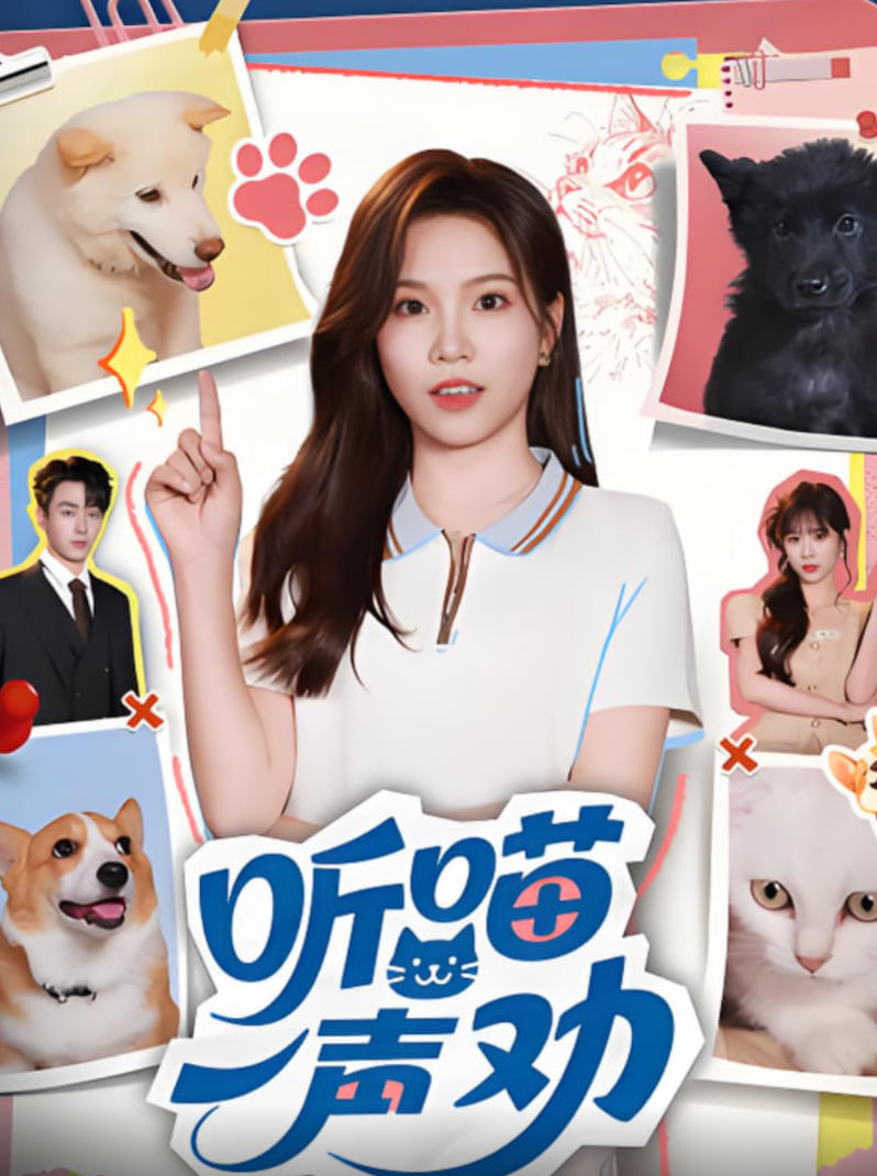 听喵一声劝封面