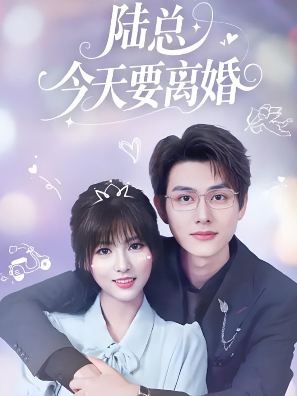 陆总今天要离婚封面