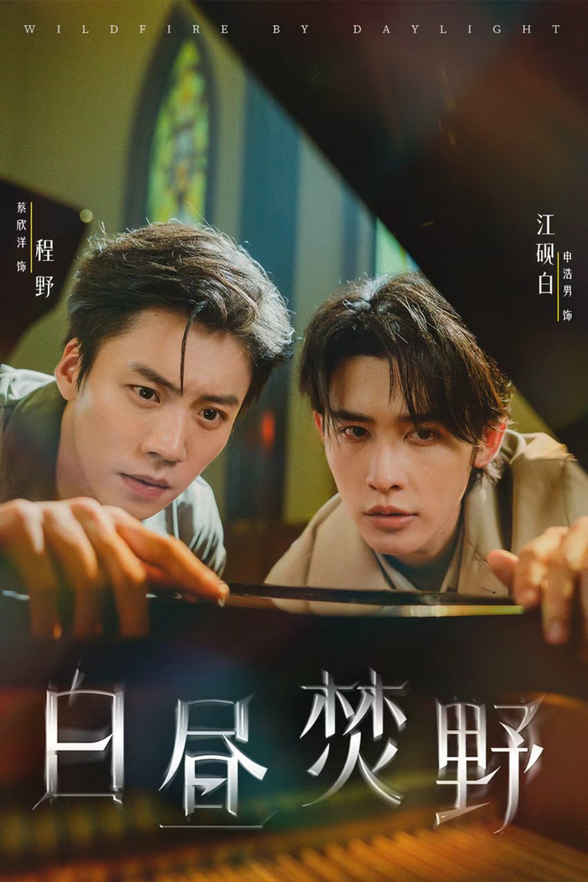 白昼焚野封面
