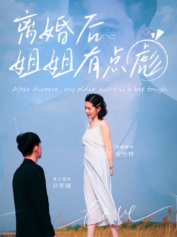 离婚后姐姐有点彪封面