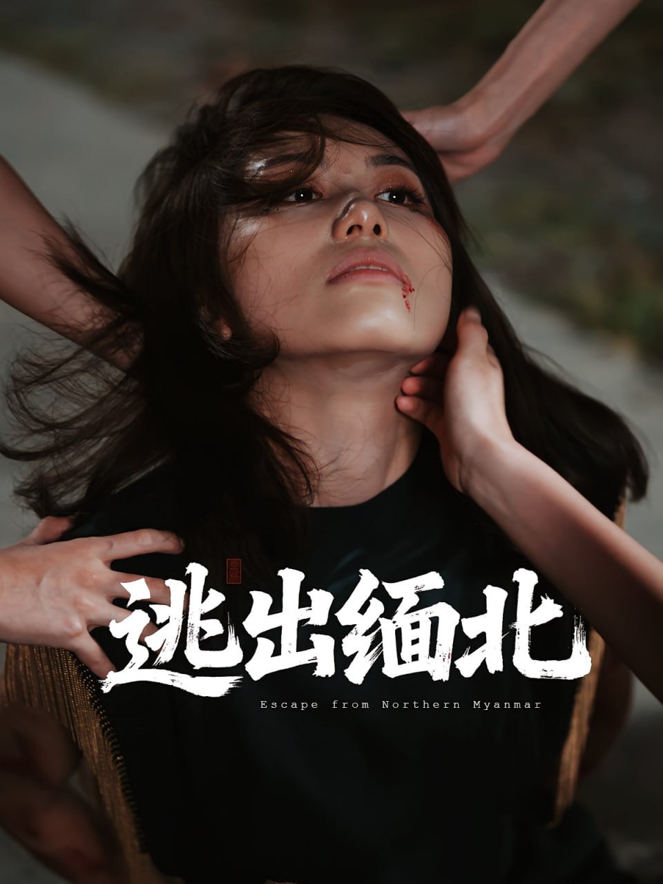逃出缅北封面