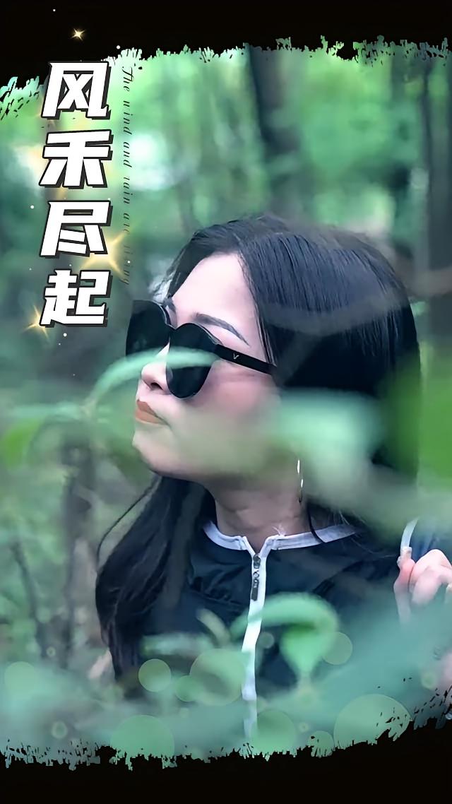 风禾尽起 2025封面