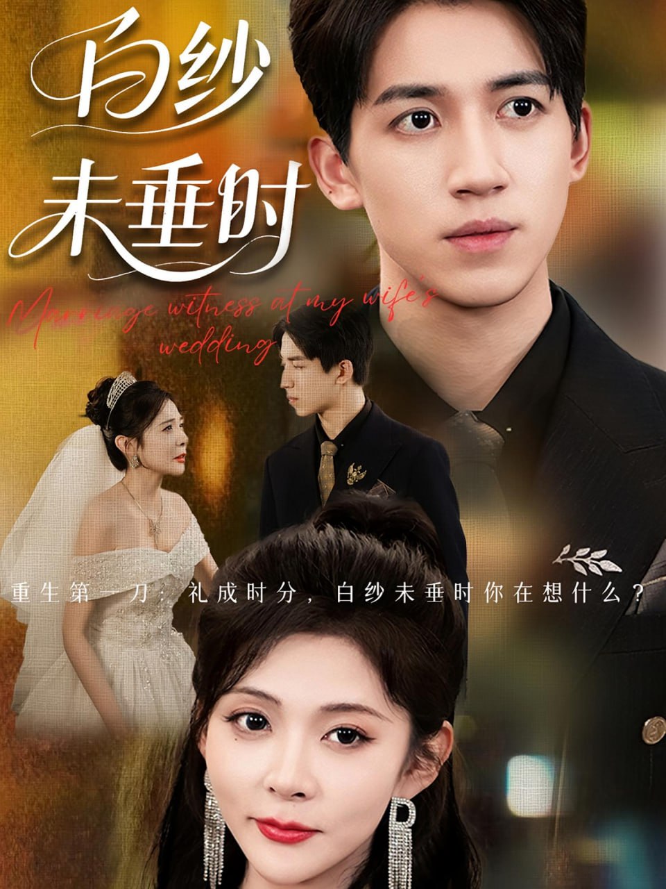 老婆婚礼我当证婚人（白纱未垂时）封面