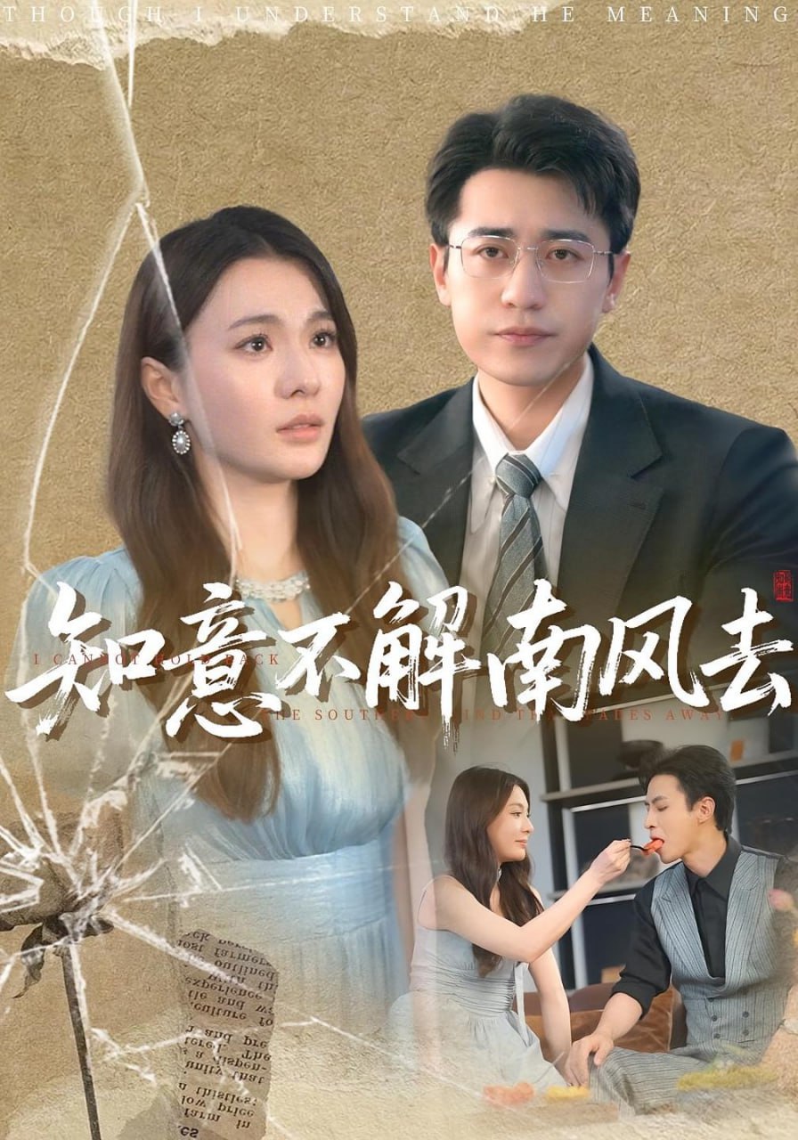 知意不解南风去封面