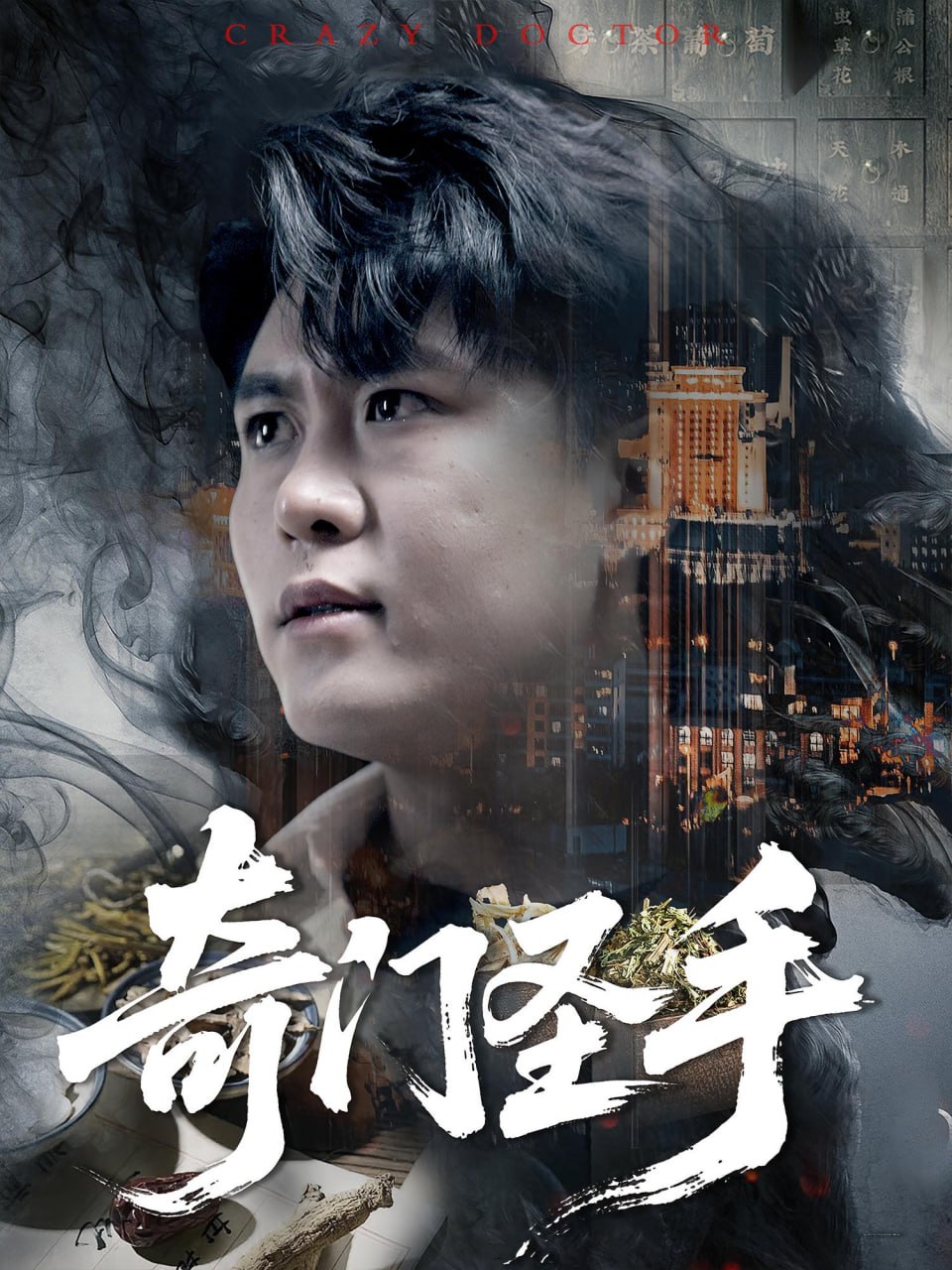 奇门圣手封面