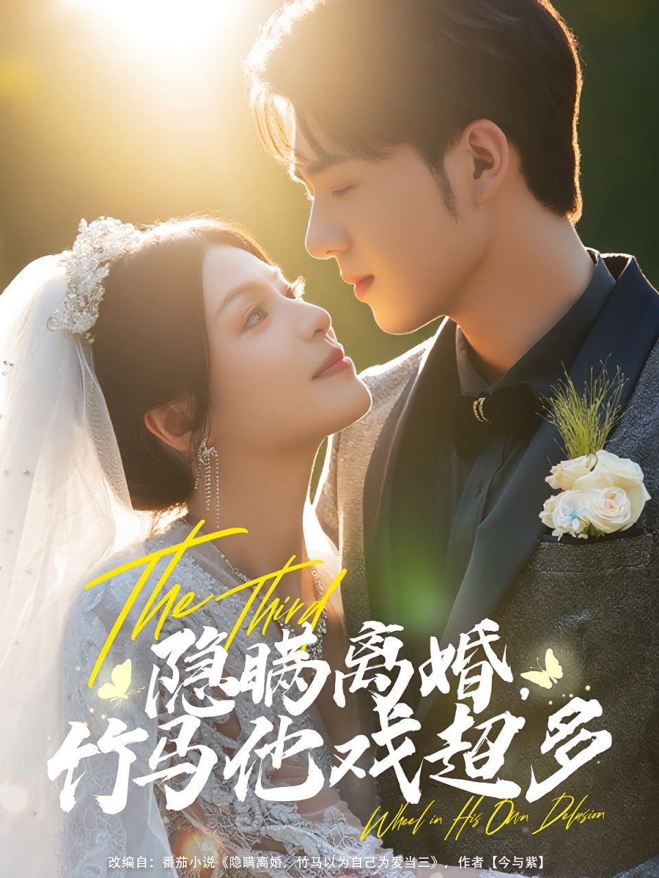 隐瞒离婚竹马他戏超多封面
