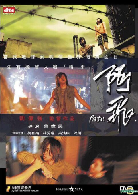 阿飞封面