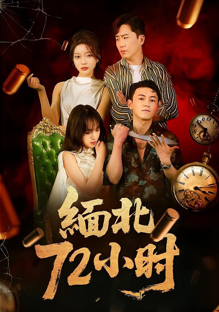 缅北72小时封面