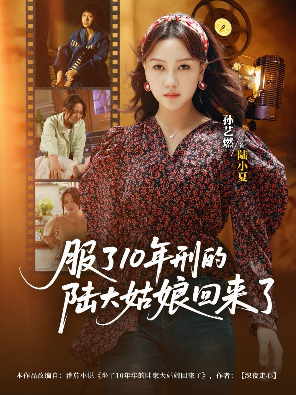 服了10年刑的陆大姑娘回来了封面