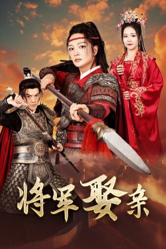 将军娶亲封面
