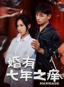 婚有七年之痒封面