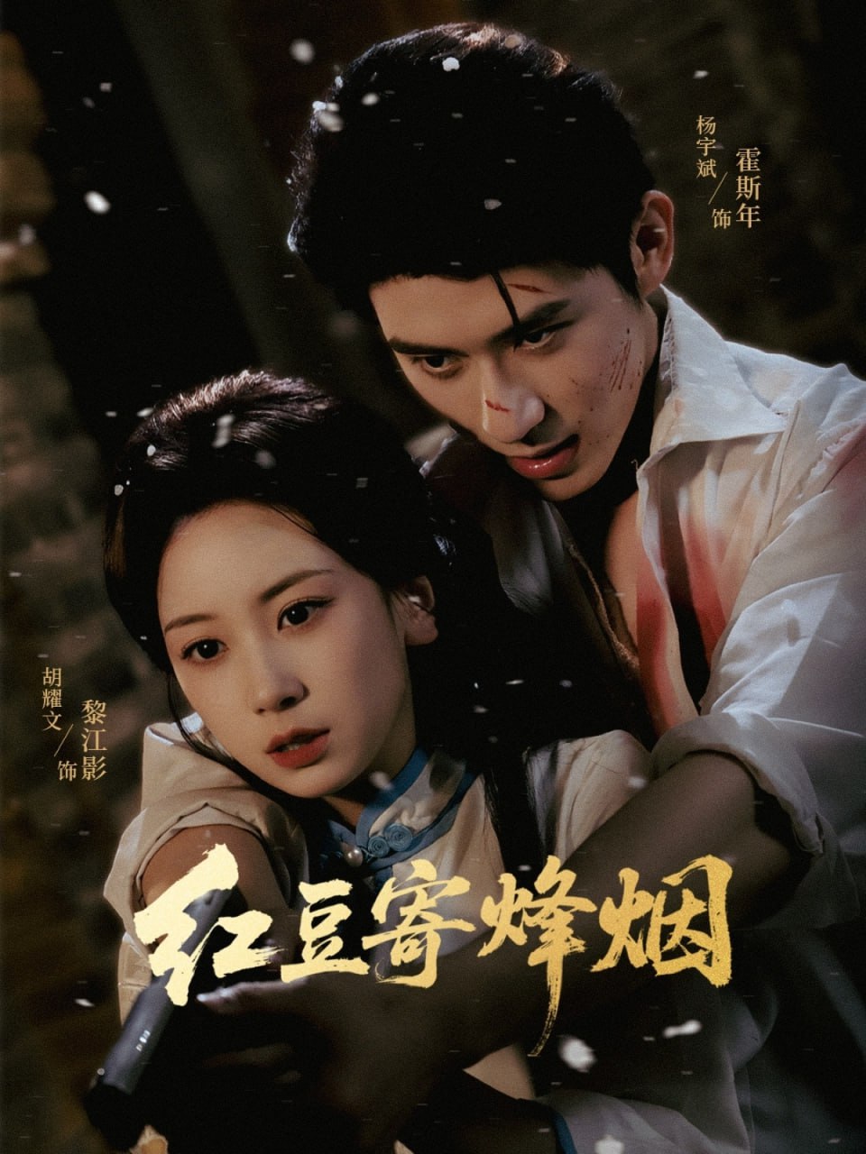 红豆寄烽烟封面
